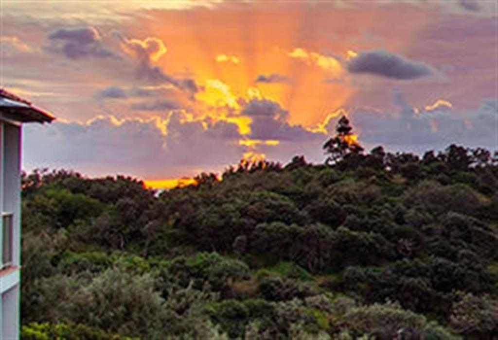 Whale Watch Ocean Beach Resort Point Lookout Zewnętrze zdjęcie